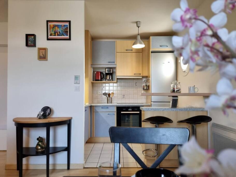 Appartement Cosy Centre Brie Comte Robert Esterno foto